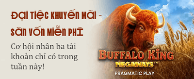 Khám phá thế giới Zamo VIP banner
